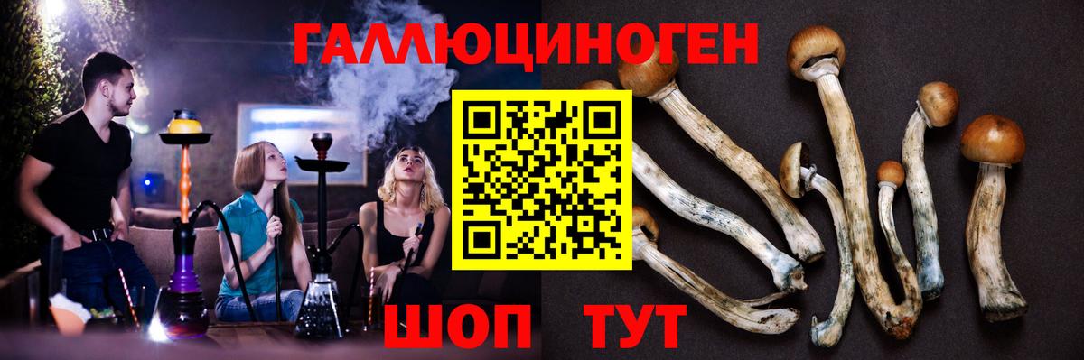 Галлюциногенные грибы Psilocybe  Вход с VPN  Сарапул 